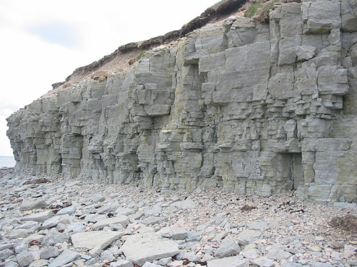 Anoutcrop of Silurian limestone in Saaremaa (Estonia).Thislimestone formed during the Silurian perio