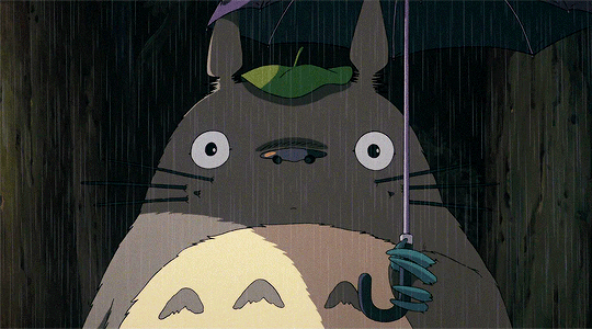 Black Lives Matter Daily Ghibli My Neighbor Totoro となりのトトロ