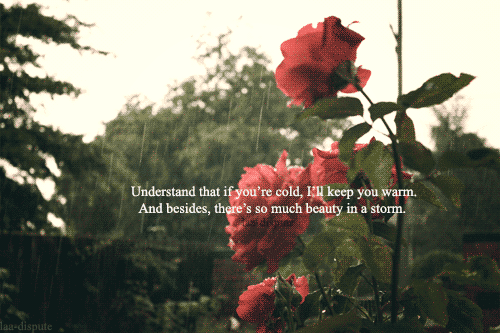 kushandwizdom:  Motivational quotes