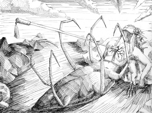 Am I Still Drawing Bug Lady?