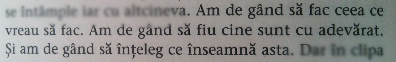 Un alt baiat
