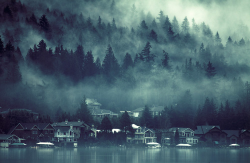 sparth:  fog on Lake Sammamish.2010-2011 