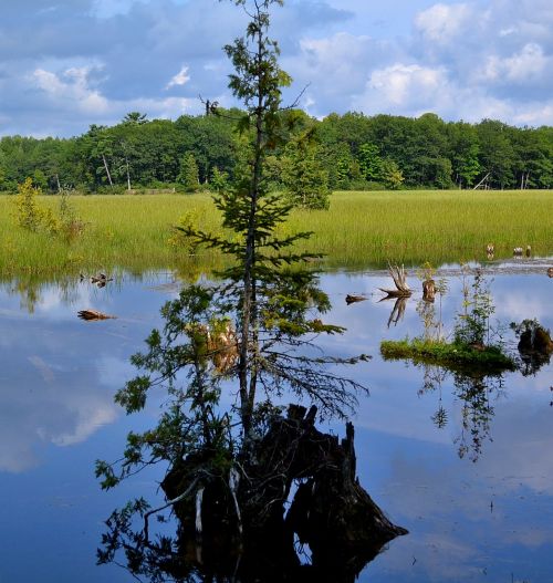 Iargo Springs, Michigan is absolutely beautiful . I love these shots taken with my D3100