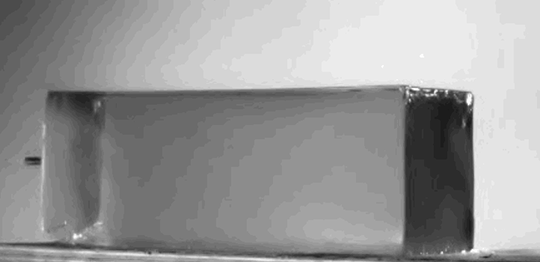 the-future-now:  This is what a bullet does to your body When someone gets shot in
