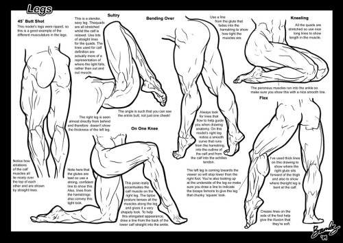 excessunrated:  fucktonofanatomyreferences:  Muscular women references!!!!!!!!!! Oo-la-la!!!! [From various sources]  Oh man, this is great. Muscular women are really hard to get accurate references for.   < |D’‘‘‘‘