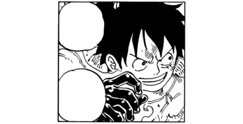 One Piece Spoiler 955 Tumblr