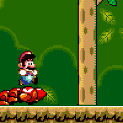 vgjunk:  Super Mario World, SNES. 