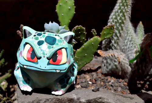 Finished my Ivysaur potI got one of those minimalistic Bulbasaur pots, added the eyes and claws with