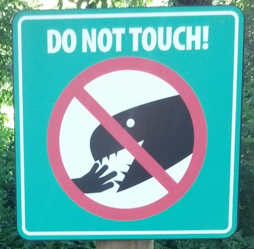 signsandotherwonders:Dinosaur warning signs from Dorney Park in PA. They had some fairly lame animat