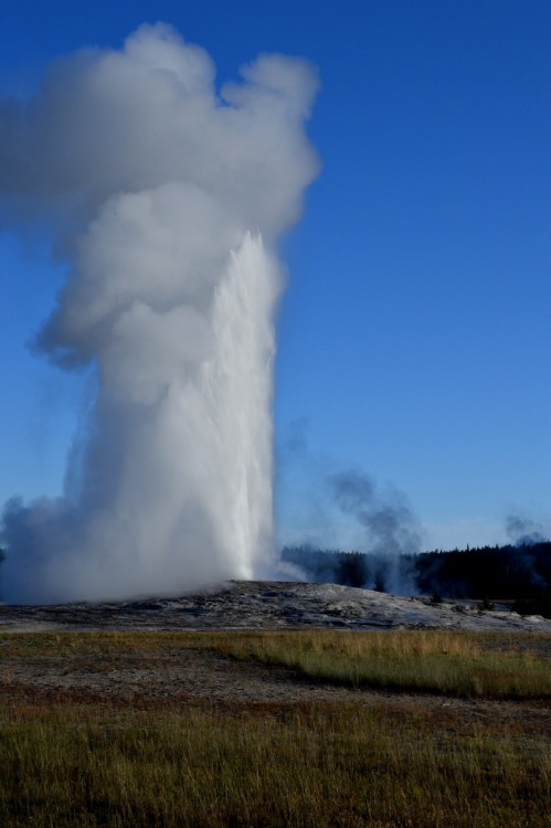 Yellowstone National Park was the first National Park in the US. It was also the first National Park