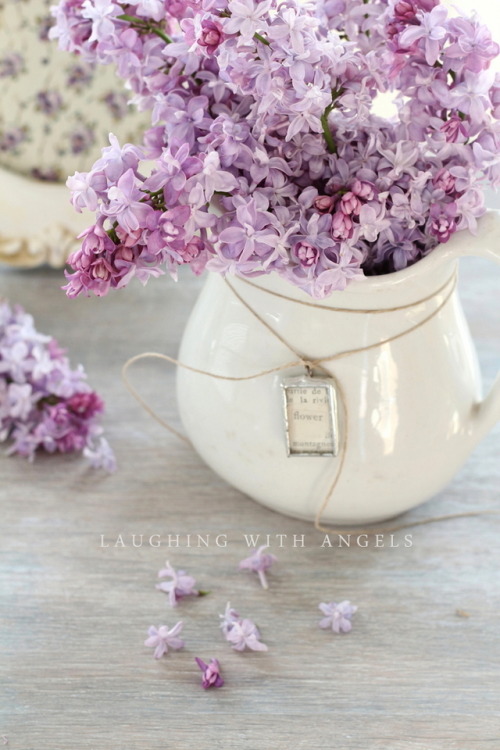 Lilacs