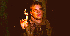 danbiaps:  The Twilight Saga | Fire 