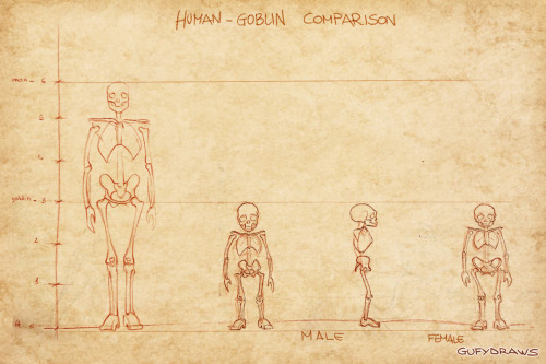 garrison-of-misfits:Part 2 of my project on the hypothetical anatomy of World of Warcraft’s Ho