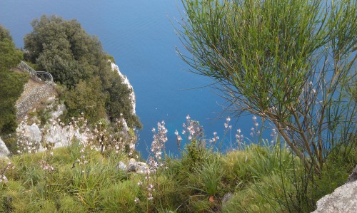 ablative-absolute: This is the Villa Jovis (House of Jupiter) on the island of Capri in Italy. 