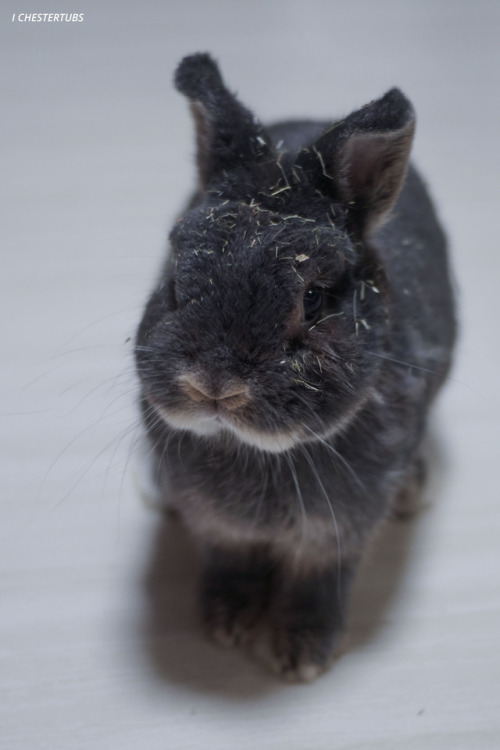 somebun made a mess of himself! 