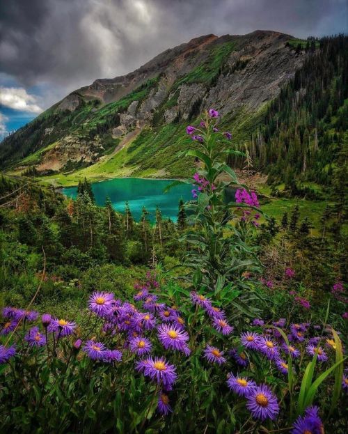 Breathtaking views around Crested Butte, Coloradoby Connor Scalbom