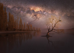 just&ndash;space:  Lone tree under the Milky Way in Wanaka, New Zealand  js