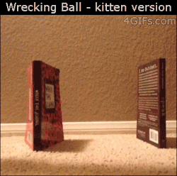 4gifs:  Miley Cyrus wrecking ball Kitten