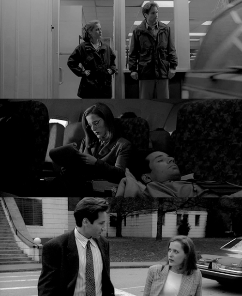 fovmulder: So, who did you tick off to get stuck with this detail, Scully? Actually, I’m 