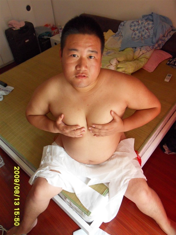Asia bear