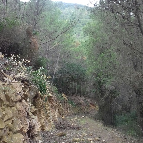 arabskaya-devushka: Moodboard: wild nature - my monthly dose of nature series Western north of Tunis