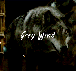 dreamofspring: got meme | ½ Creatures ◦ Direwolves Their voices echoed through