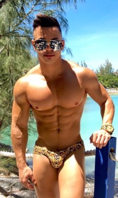 nondescriptworld:  alanpalmsprings:  brisbanemaster:  This musclefag is well put together.Those speedos scream “put Dicks in me”.  🌴 If you like what you see, please follow me: alanpalmsprings.tumblr.com🌴🌟 Please follow the source blogs too!🌟