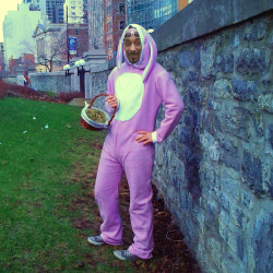 disregard-authority:The Weedster bunny