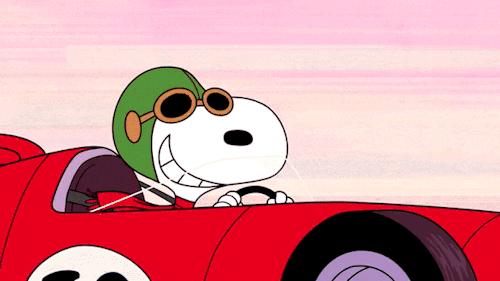 THE SNOOPY SHOW • 2.01