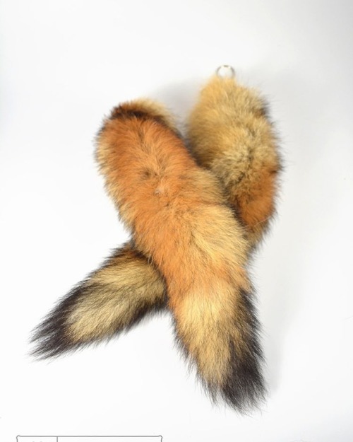 Ethically sourced British Red Fox tails with silver plated keychain now available! www.taxidermyco.u