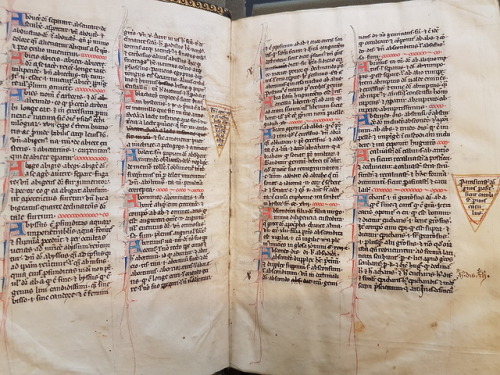 Ms. Codex 722 - Expositiones difficiliorum vocabulorum debibliotheca per ordinem alphabetiDo you nee