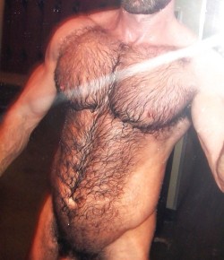 hairy-chests:  http://hairy-chests.tumblr.com