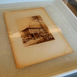 smithsonianlibraries:  Don’t try this at home! It may be counter-intuitive, but sometimes to fix a water damaged item you need to soak it in water. Due to the extensive tide marks from previous water damage, our book conservators decided to wash these