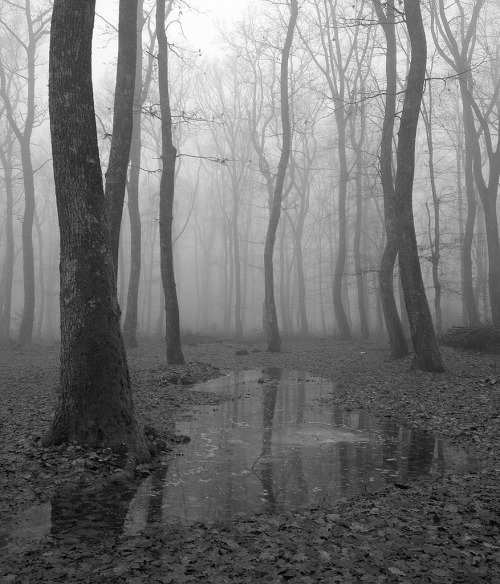 darkface:Fog VII (by elkarrde)