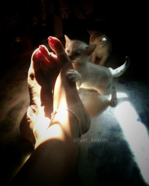 Look, who is playing with this cute feet ❤❤❤ #pet #cat #play #feet #photography #cuteness #anklets #