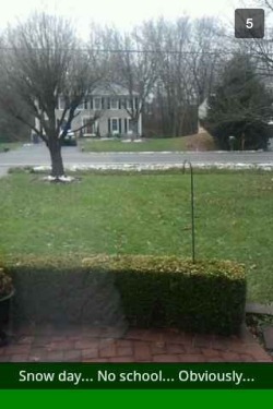 xmrsgreenleafx:  hiddlestalker:  i-am-merwholocked:  hiddlestalker:  hiddlestalker:  #VirginiaWeather  #THE FUCKING SNOW PLOW THOUGH  Oh no! there’s a sixteenth of an inch. shit man  EVERYONE GET INDOORS! THERE’S A BLIZZARD   *muffled sound of Canada