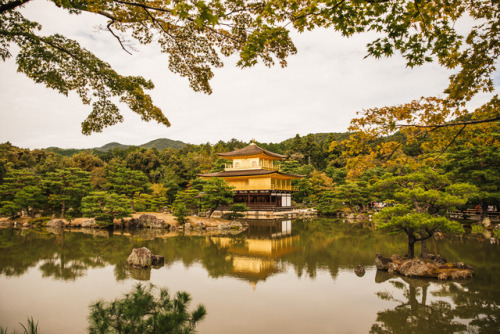 Thursday 5th October 2017. 11:30 Kyoto Japan.Kinkakuji Temple located on the west side of Kyoto. It’