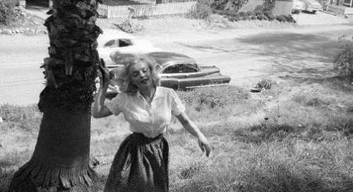 beauvelvet:Rare images of Marilyn Monroe by Milton Greene, 1953.