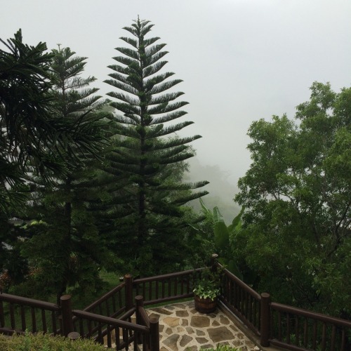 intoxvicated:  “Most of us live in a fog. It’s like life is movie we arrived to 20 minutes late. You know something important seems to be going on. But we can’t figure out the story. We don’t know what part we’re supposed to play or what the