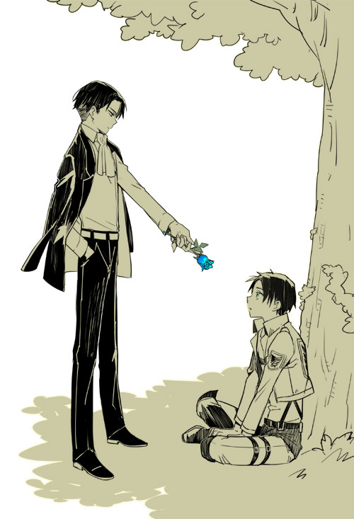 rrivialle:  attack-on-fandoms:  Red Rose - Love Red roses are given to poeple who