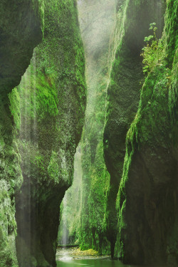 sublim-ature:  Oneonta Gorge, OregonCraig