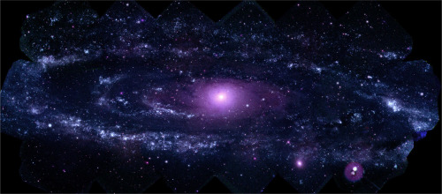 boycomet:  just–space:  NASAs SWIFT has made the largest ever ultraviolet image of the Andromeda Galaxy. The image shows a region 200,000 light-years wide and 100,000 light-years high   js