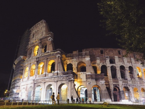 Rome | ItalyRoman Colosseum