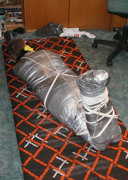 https://lovetapebondage.tumblr.com/post/162784159041