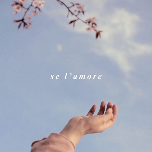 glenndower:SE L’AMORE; a playlist for golden summers, overripe peaches, and lazy mornings; for those