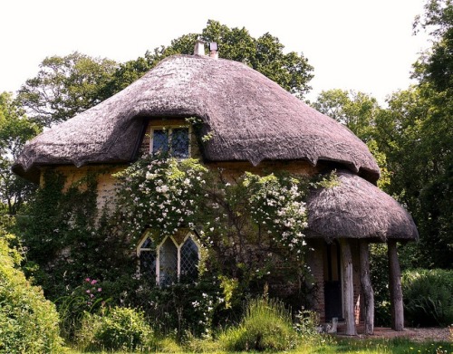 mirrorofthemagus: Alice Cottage, near Gaunts House in Windborne Dorset, UK. Photo by Stephen Hodder 