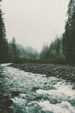 nature-inmysoul:  moon-sylph:  abolidor:  ✖ photographs blog here ✖  ☽ ⁎ ˚ * ☀ Mystique, autumn, nature ✵ ⁎ * ☾  nature-inmysoul.tumblr.com