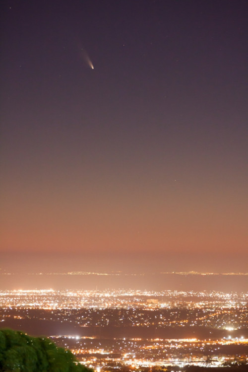 Comet PanSTARRS