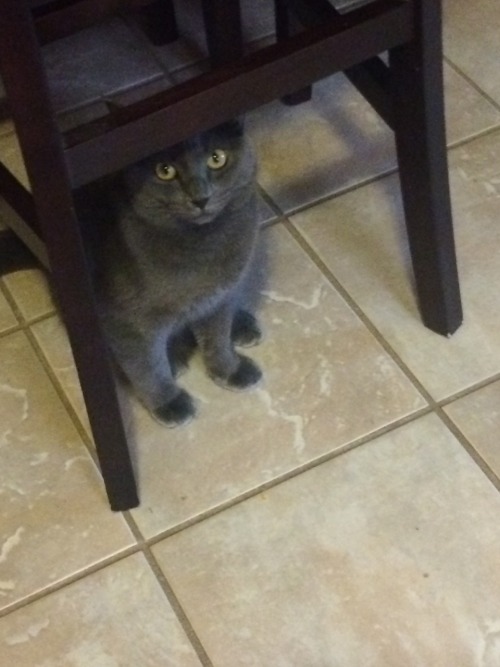 sparklingmeaidxxx:  She thinks I can’t see her.