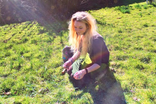 wisteria-spirit:  spent the most glorious afternoon helping to plant snowdrops in Killerton Gardens 